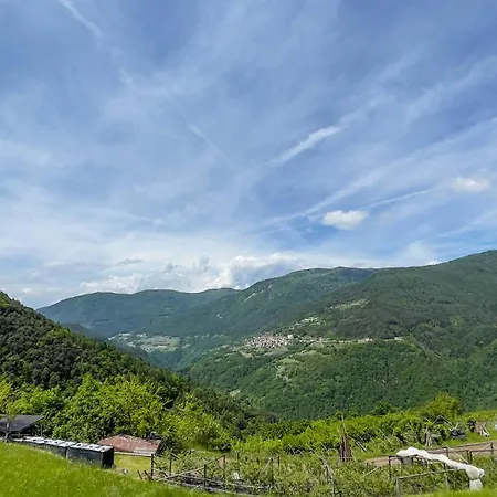 Mirtilla Alloggio per agriturismo